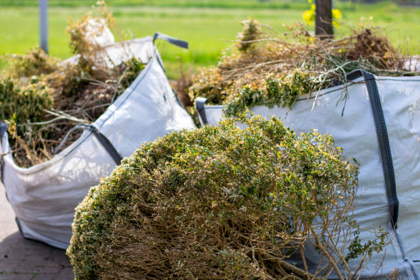 Best Same-Day Junk Removal  in Oak Ridge, NJ